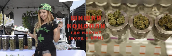 PSILOCYBIN Богданович