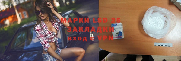 PSILOCYBIN Богданович