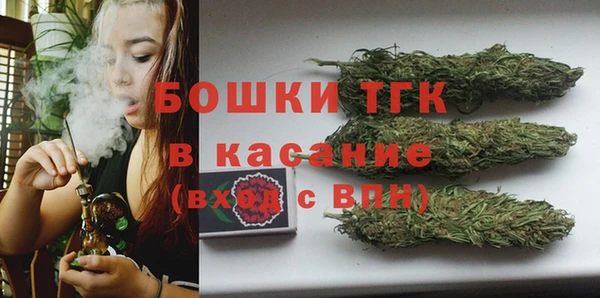 PSILOCYBIN Богданович