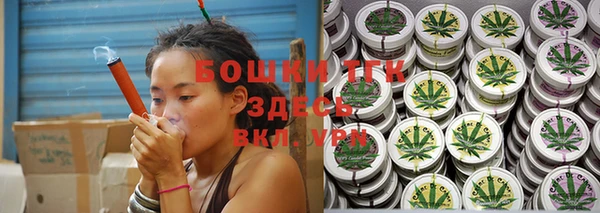PSILOCYBIN Богданович