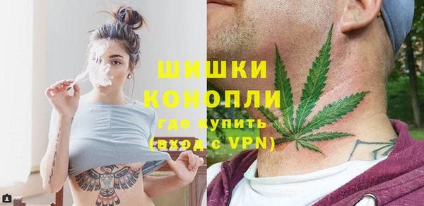 PSILOCYBIN Богданович